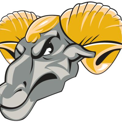 RAM HD0501 RQC 縮圖