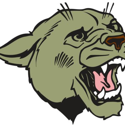 AR COUGAR 40 RC 縮圖