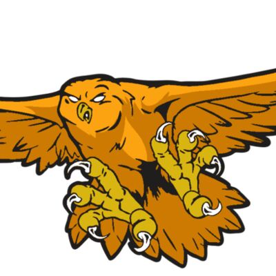 AR31 OWL 01 RQC 縮圖