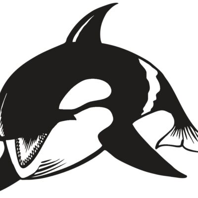 BAW KLRWHALE 04 RC 縮圖