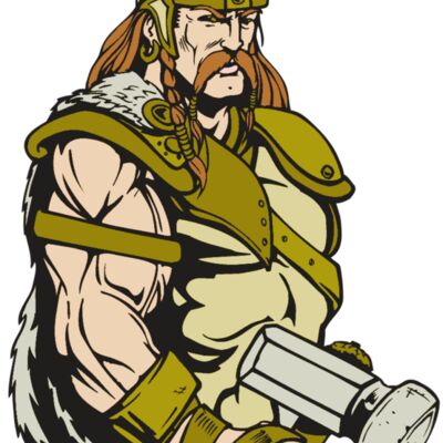 AR VIKING 38 RC 縮圖