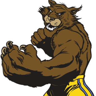 AR WILDCAT 48 RC 縮圖