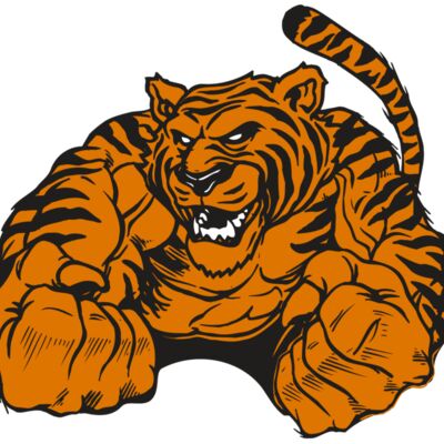 AR TIGER 55 RC 縮圖