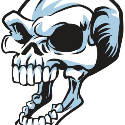 AR24 SKULL 15 RQC 縮圖