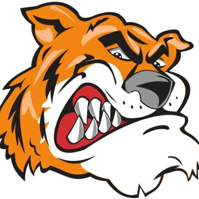 TIGER HD0503 RQC 縮圖