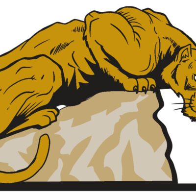 AR10 PANTHER 01 RQC 縮圖