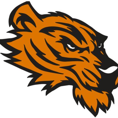 AR5 Tiger 05 RQC 縮圖