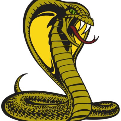 BAW SNAKE 02 RC 縮圖