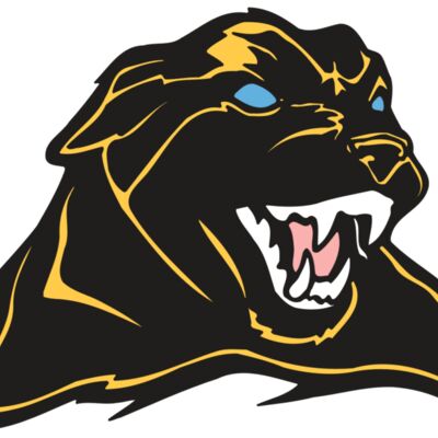 AR COUGAR 42 RC 縮圖