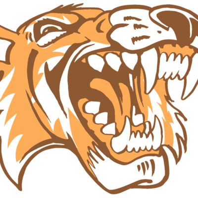 AR3 TIGER 01 RQC 縮圖