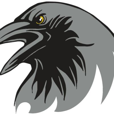 AR31 RAVEN 02 RQC 縮圖