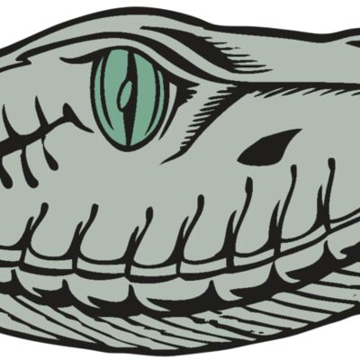 BAW SNAKE 10 RC 縮圖