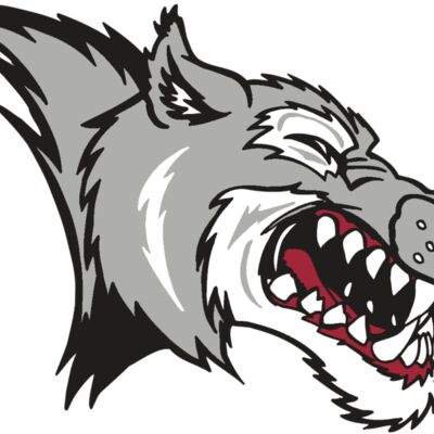 AR WOLF 15 RC 縮圖