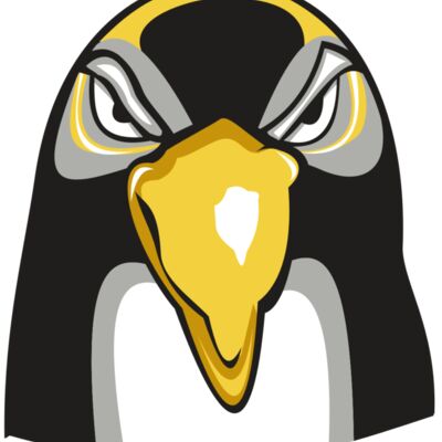 PENGUIN HD0503 RQC 縮圖