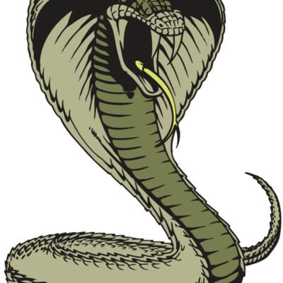 BAW SNAKE 07 RC 縮圖