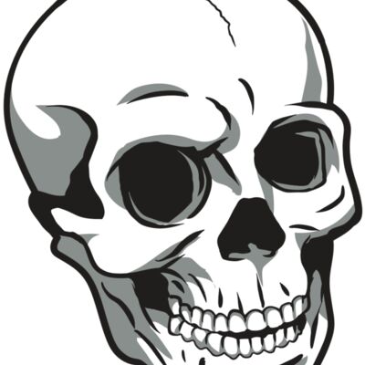 AR24 SKULL 14 RQC 縮圖