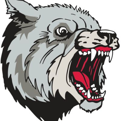 AR WOLF 38 RC 縮圖