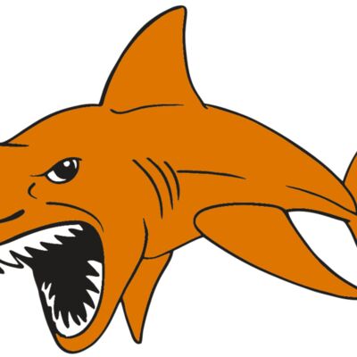 AR  SHARK 20 RC 縮圖