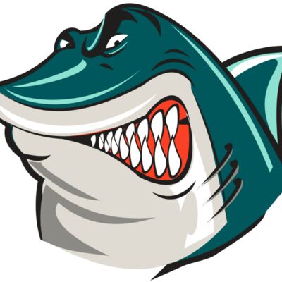 SHARK HD0502 RQC 縮圖