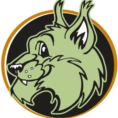 AR WILDCAT 17 RC 縮圖