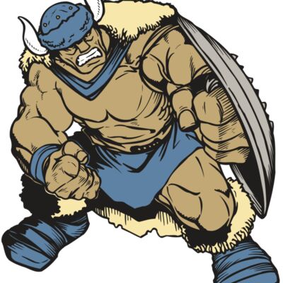 AR VIKING 36 RC 縮圖