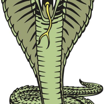 BAW SNAKE 15 RC 縮圖