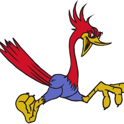 AR31 ROADRUNNER 01 RQC 縮圖