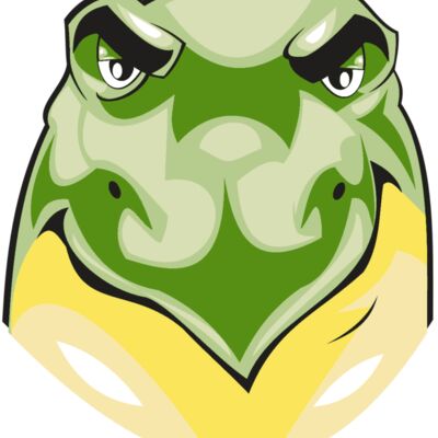 TURTLE HD0502 RQC 縮圖