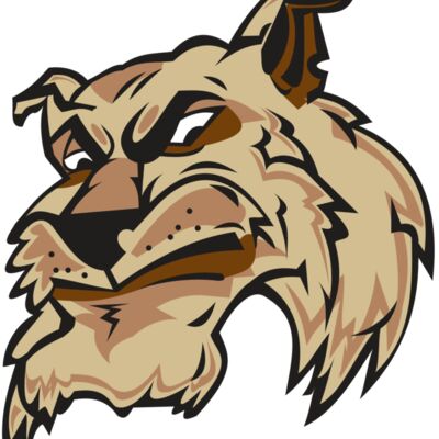 WILDCAT HD0501 RQC 縮圖