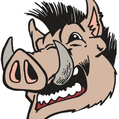 AR RAZORBACK 18 RC 縮圖