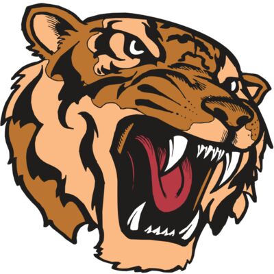 BAW TIGER 07 RC 縮圖