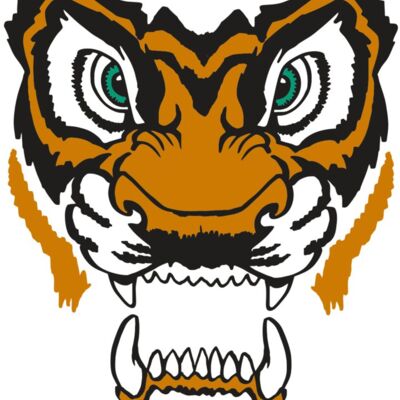 AR TIGER 11 RC 縮圖