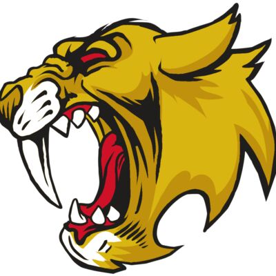 AR30 SABER 04 RQC 縮圖