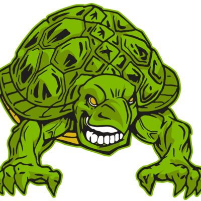 AR31 TURTLE 03 RQC 縮圖