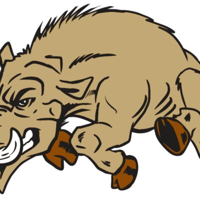 AR20 RAZORBACK 37 RQC 縮圖