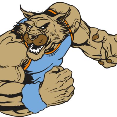 AR WILDCAT 46 RC 縮圖