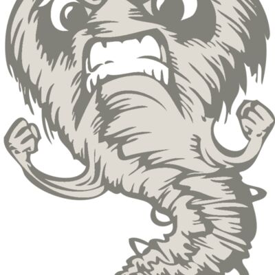 BAW STORM 07 RC 縮圖