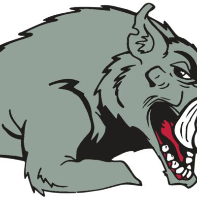 AR RAZORBACK 14 RC 縮圖