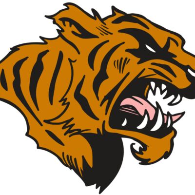 AR5 TIGER 08 RQC 縮圖