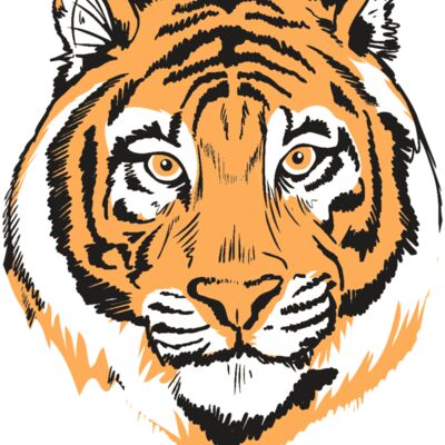 AR9 TIGER HEAD RQC 縮圖