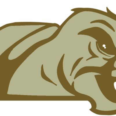 AR5 Turtle 02 RQC 縮圖