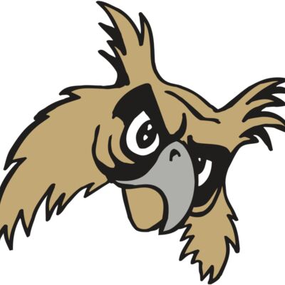 AR5 Owl 09 RQC 縮圖