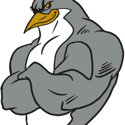 AR19 PENGUIN 01 RQC 縮圖