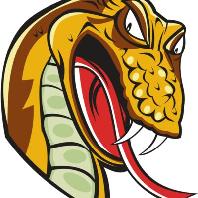 SNAKE HD0502 RQC 縮圖