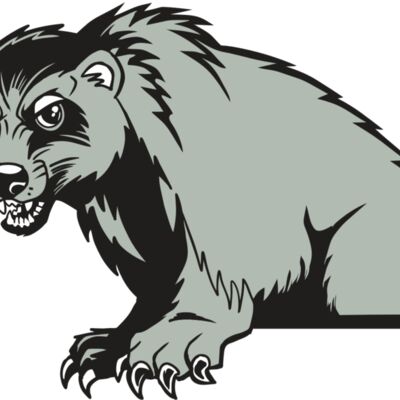 AR22 WOLVERINE 01 RQC 縮圖