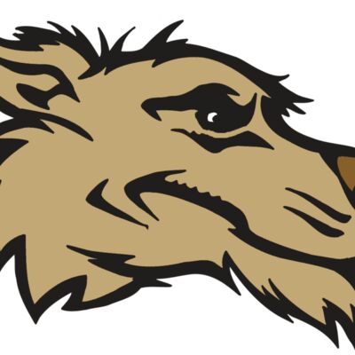 AR5 Wolf 11 RQC 縮圖