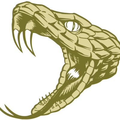 BAW SNAKE 11 RC 縮圖