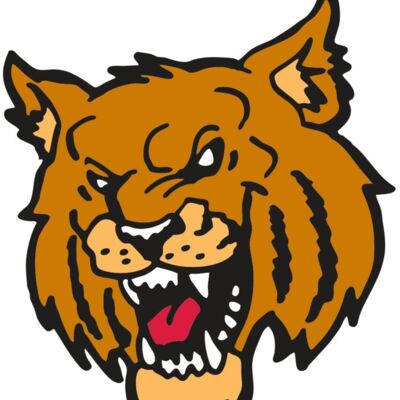 AR WILDCAT 36 RC 縮圖