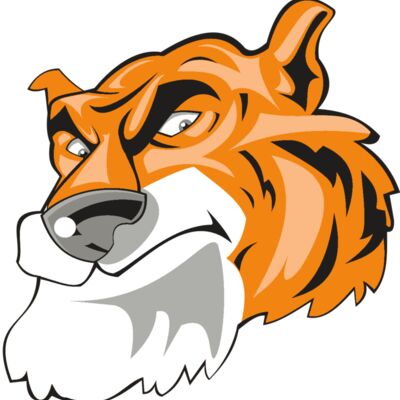 TIGER HD0501 RQC 縮圖