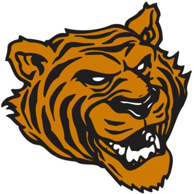 AR TIGER 43 RC 縮圖